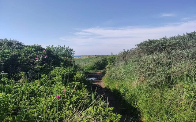 4 Star Holiday Home in Albaek