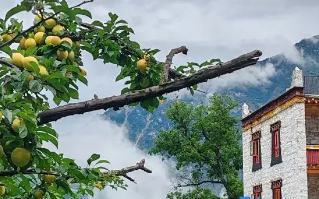Danlu Rendao Inn