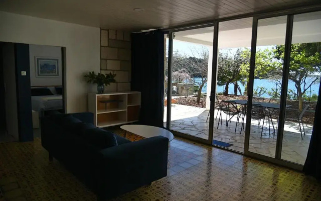 Buric House - Apartment Vintage