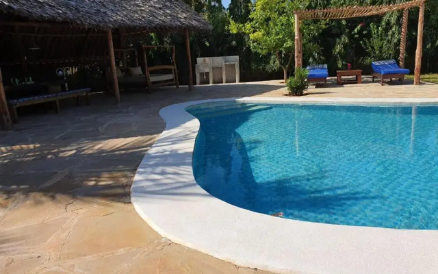 The Swimming Ostrich