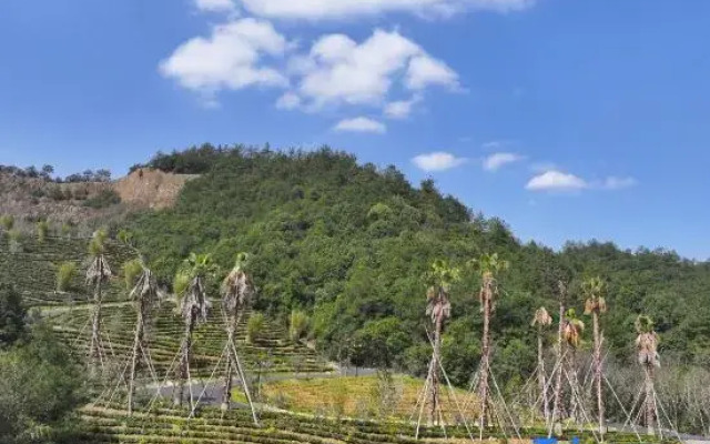 Anji Treasure Island Nautical Resort