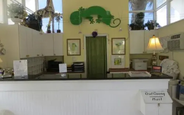 Lemon Tree Inn