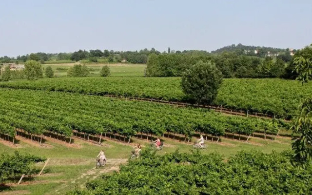 Tenuta San Leone
