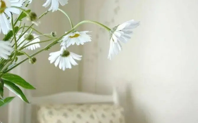 Mariefreds Gästhus
