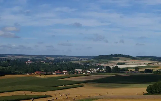 Les Sens des Bois