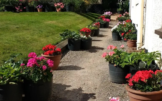 Brambles Bed and Breakfast