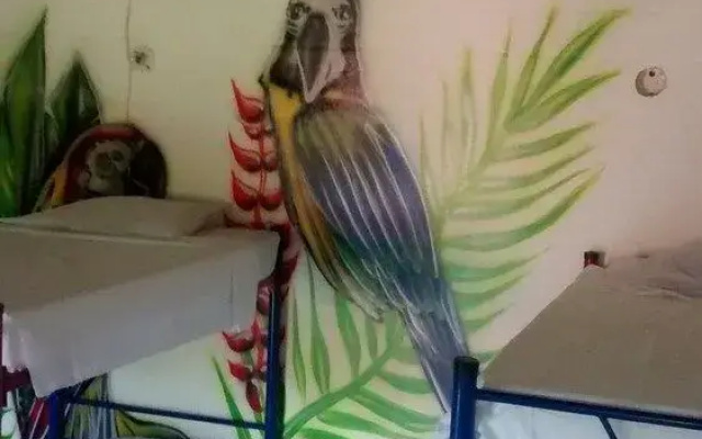 Dream Catcher