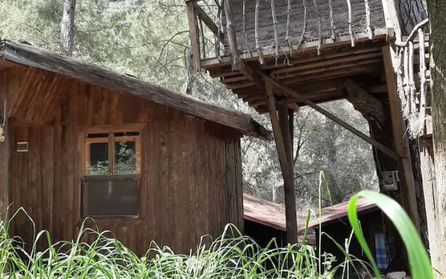 Altaris Bungalows Olympos