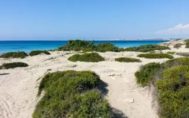 Beach Apartment M362
