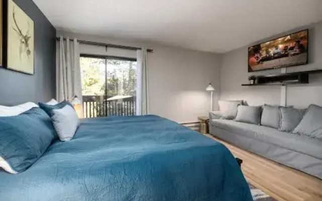 Winterpoint 41
