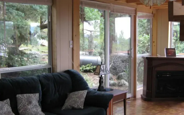 The Evergreen Oasis