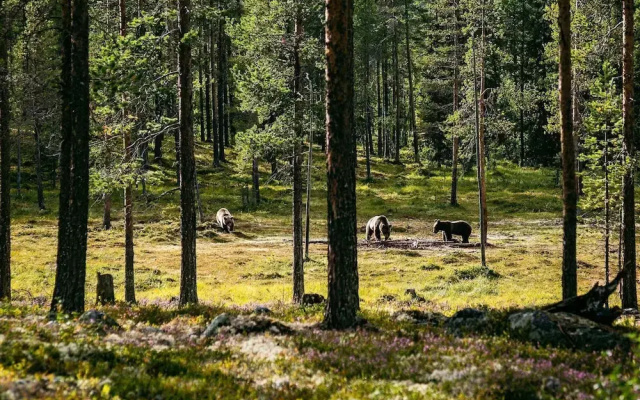 8 Person Holiday Home in Lofsdalen