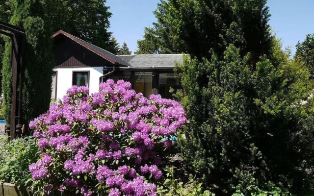Ferienhaus-Maxen