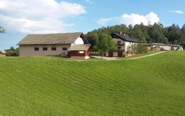 Apartment Vrtacnik