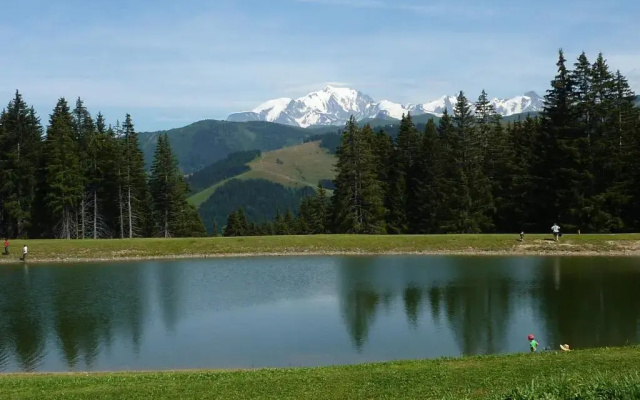 Chalet Le Starfu