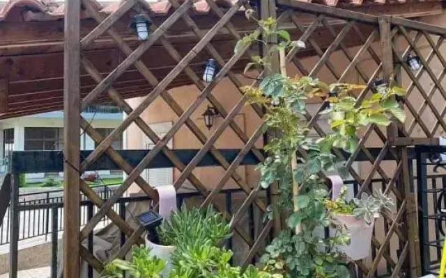 Sady's House