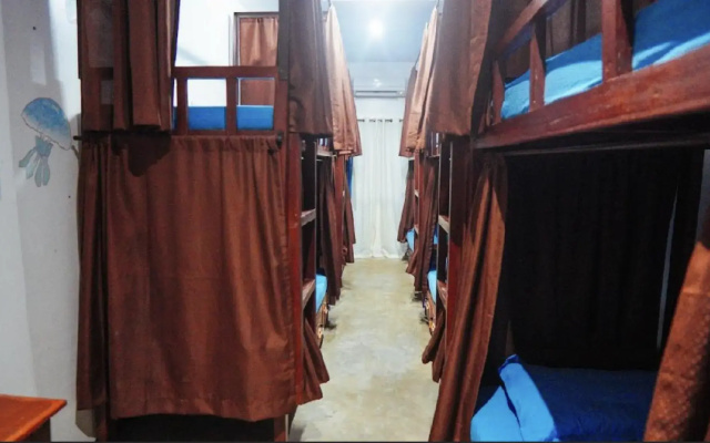 Tres Islas Hostel