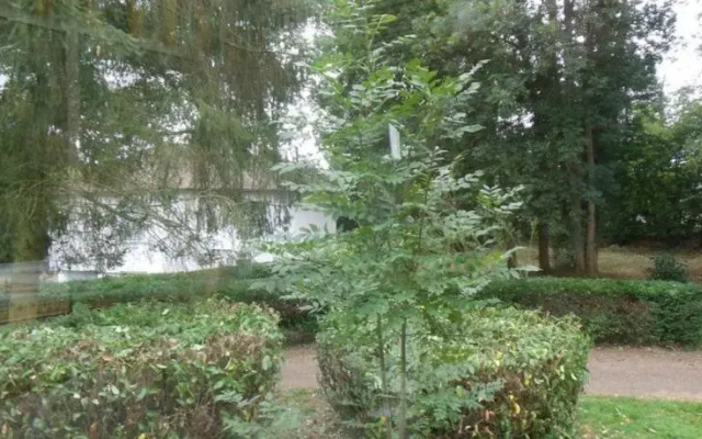 Domaine des Trois Pommes