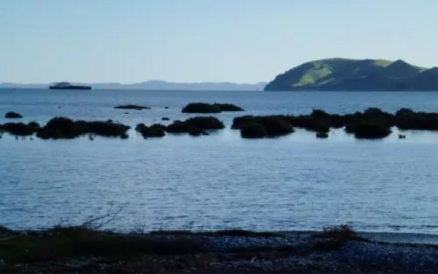 Oystercatcher Bay Boathouse