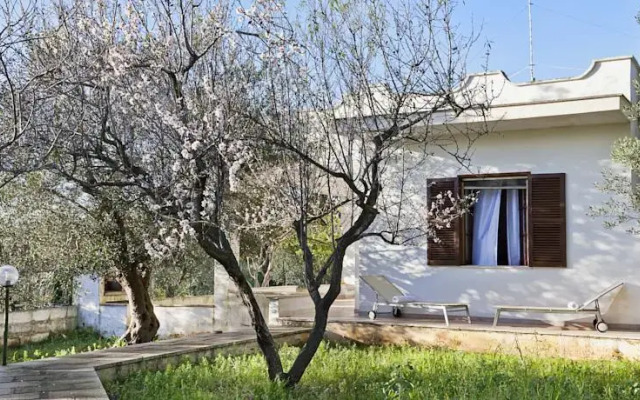 Villa Ulivi