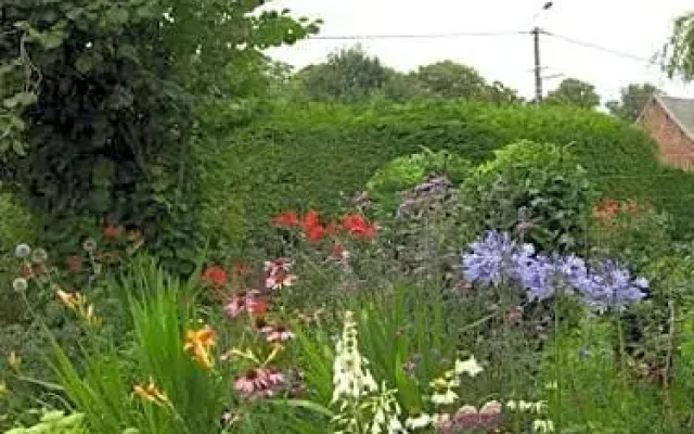 Les Eglantines
