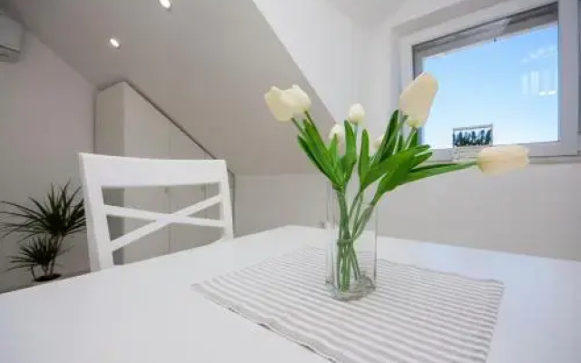 Apartments Dalmata