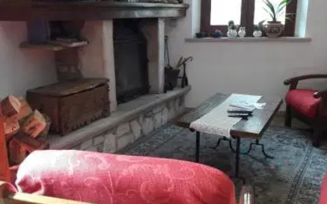 Dulcamara
