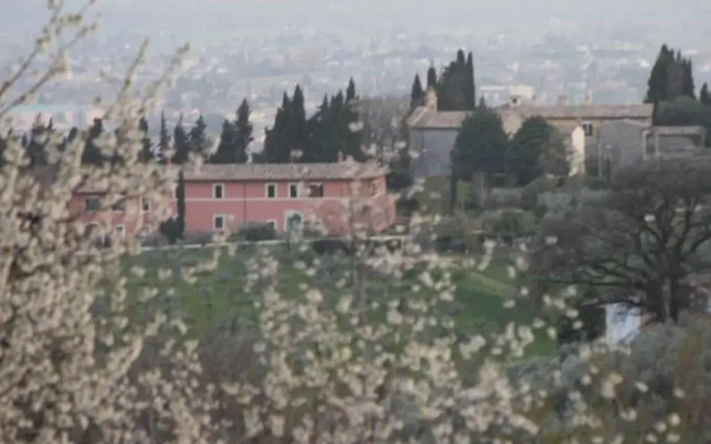C&C Il Treggio