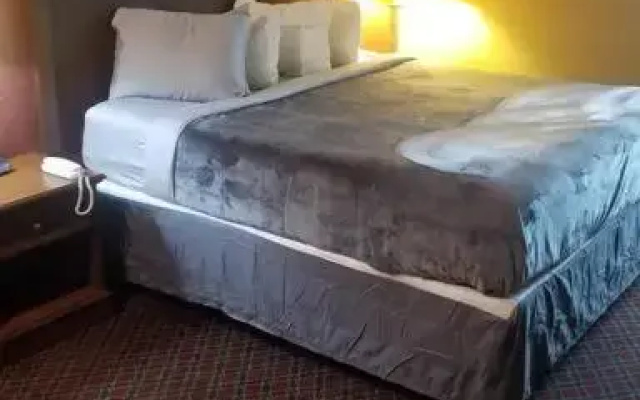 OSU King WI-FI Coffee Hotel 203 Booking