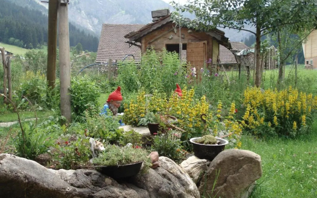 Bergdohle