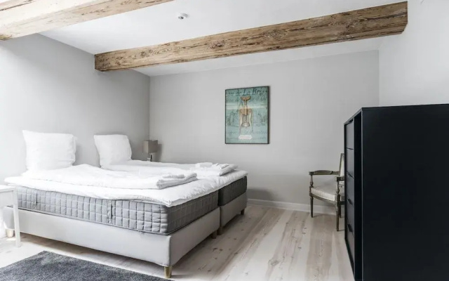 Grand Apartment in Copenhagen