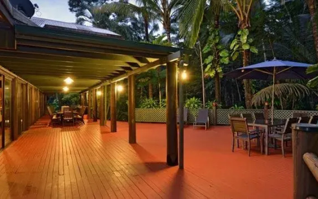 Wait A While Daintree