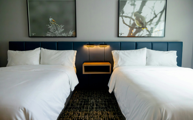 voco Saltillo Suites by IHG