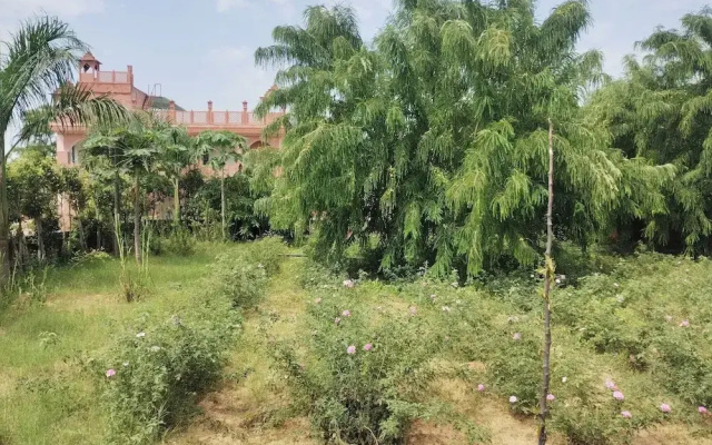 Janardan Resort Pushkar