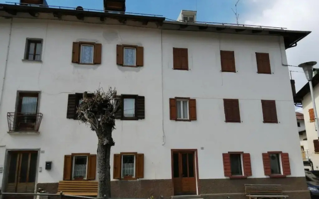 Ajarnola N14
