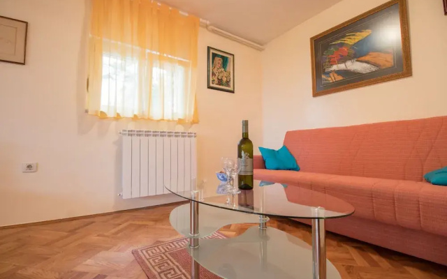 Apartment Visnja