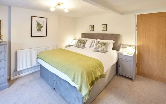 Host Stay Green Willow