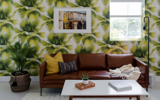 Colorful Studio in Wynwood by Sonder
