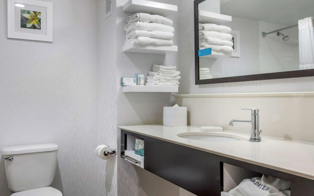 Hampton Inn Adel