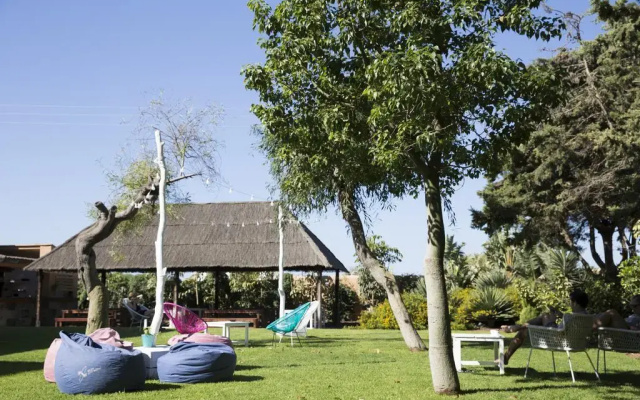 Nexo Surfhouse
