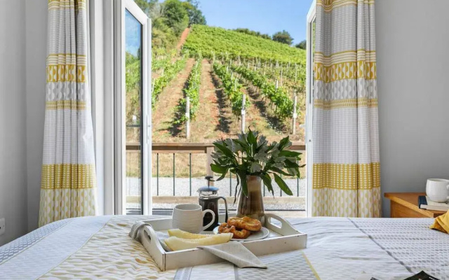 Old Walls Vineyard
