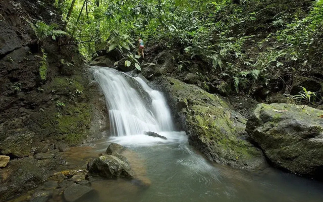 Bosque del Cabo Rainforest Lodge