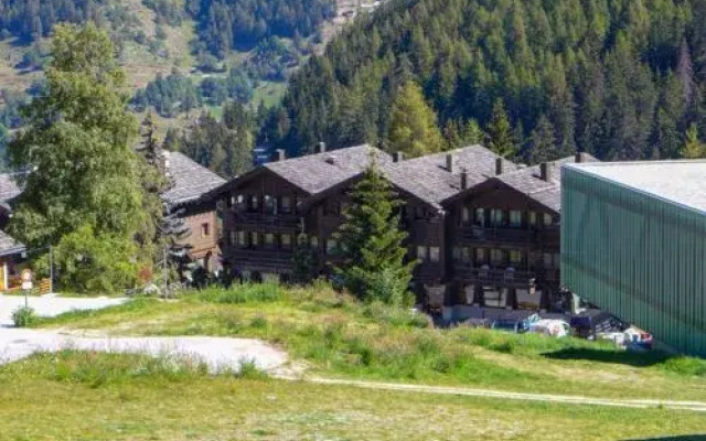 Tarcianne B11