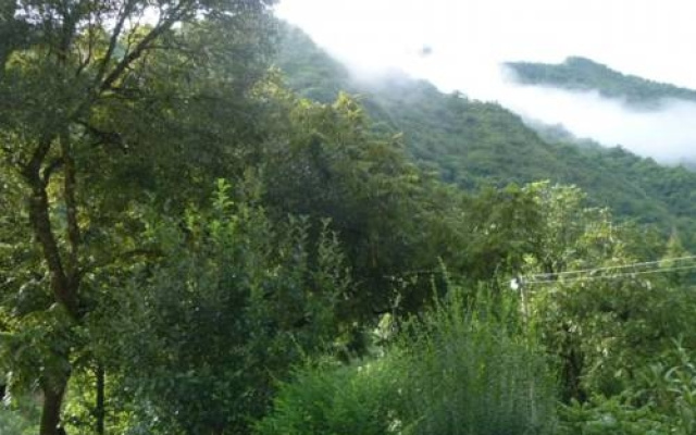 Finca Tilquiza
