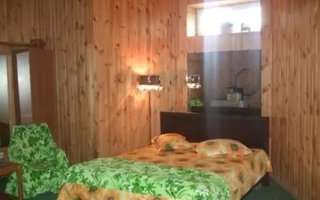 Guest House on Pridneprovskaya