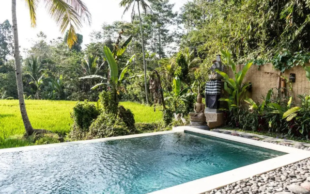 Bali Bamboo Jungle Huts And Hostel.