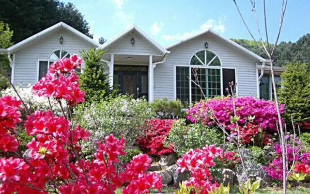 Seasonal Sky Pension