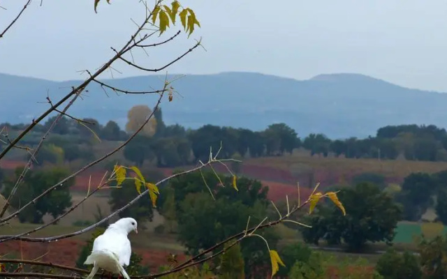 Poggio Neriolo