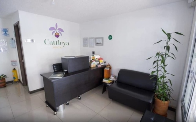 Hostal Cattleya Medellin 1