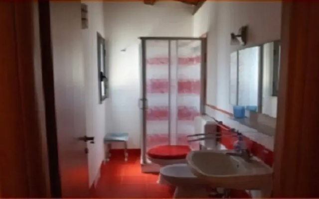 Il geco rosso